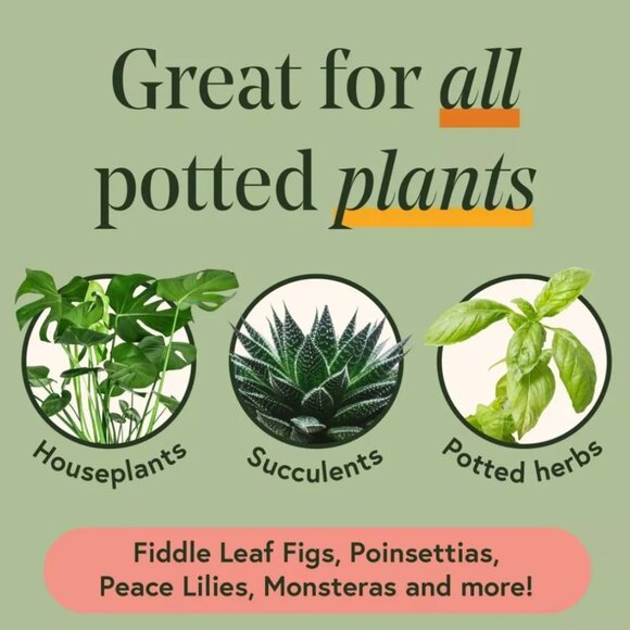 WE THE WILD House Plant Care Essentials Kit - Picture 6 of 6